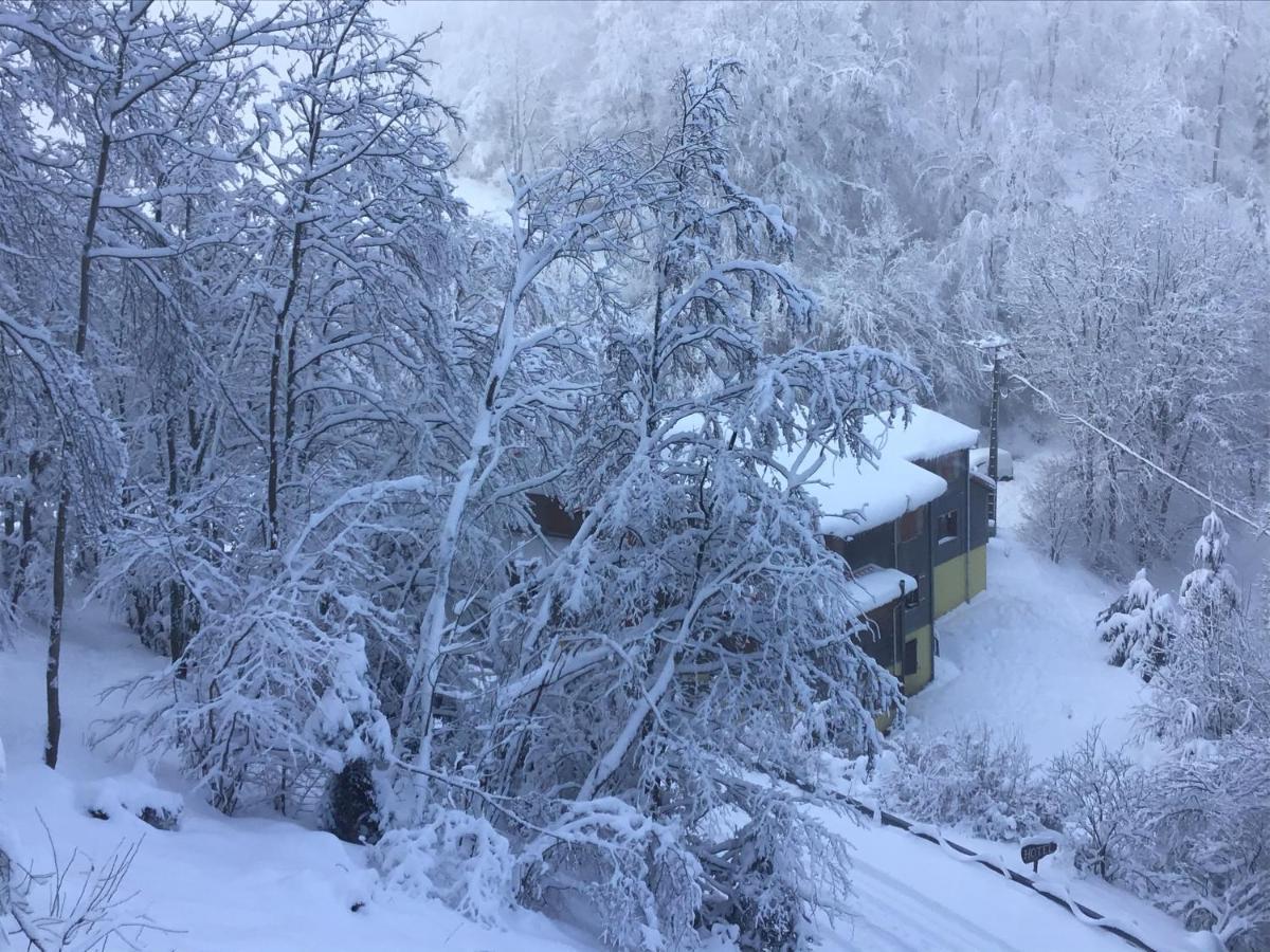 Hotel Restaurant La Fourmi Bourbach-le-Haut 외부 사진